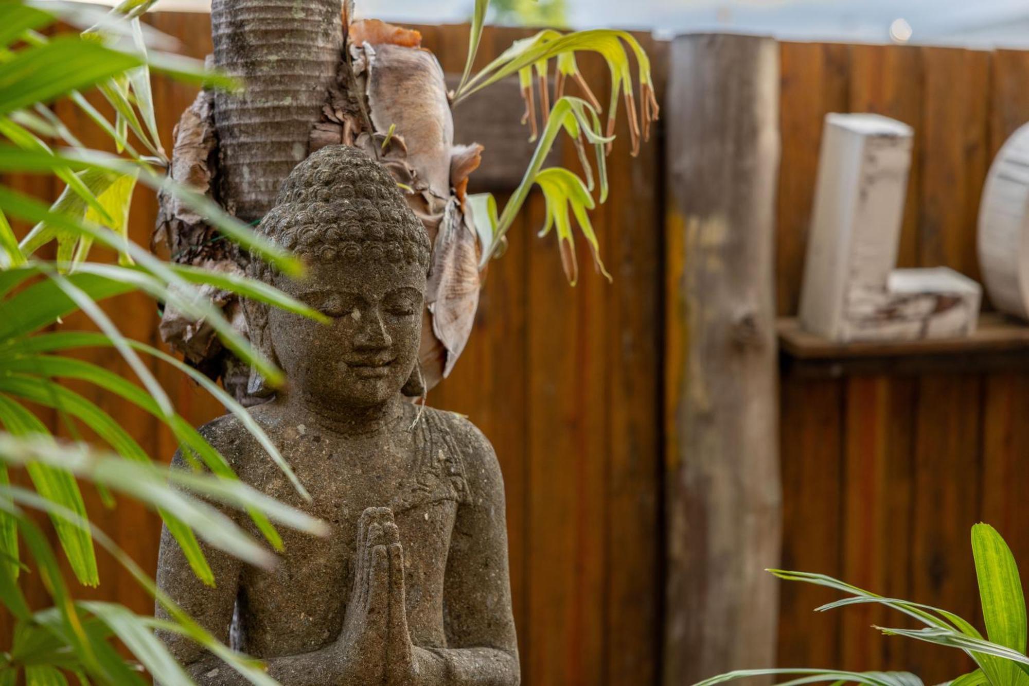 Travellers Oasis Hostel Cairns Luaran gambar